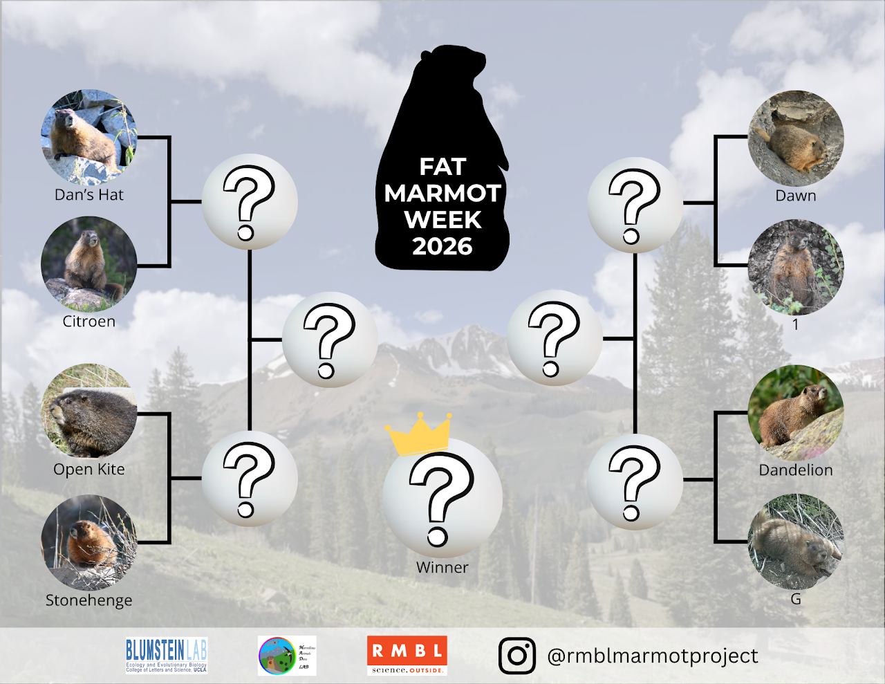 Fat Marmot Week 2026 Round 1 tournament bracket